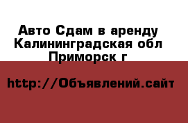 Авто Сдам в аренду. Калининградская обл.,Приморск г.